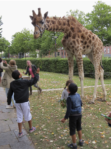 906580 Afbeelding van een giraffe van het Circus Belly, dat de tenten opgeslagen heeft in het Grifpark te Utrecht.